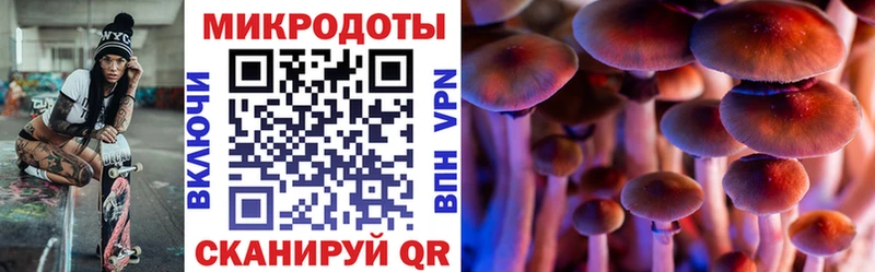 где можно купить Белово Псилоцибиновые грибы прущие грибы